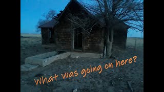 The Abandoned Skunk House