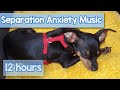 12 Hours of DEEP SEPARATION ANXIETY MUSIC For Dogs! Helped 10 Million Dogs! NEW!