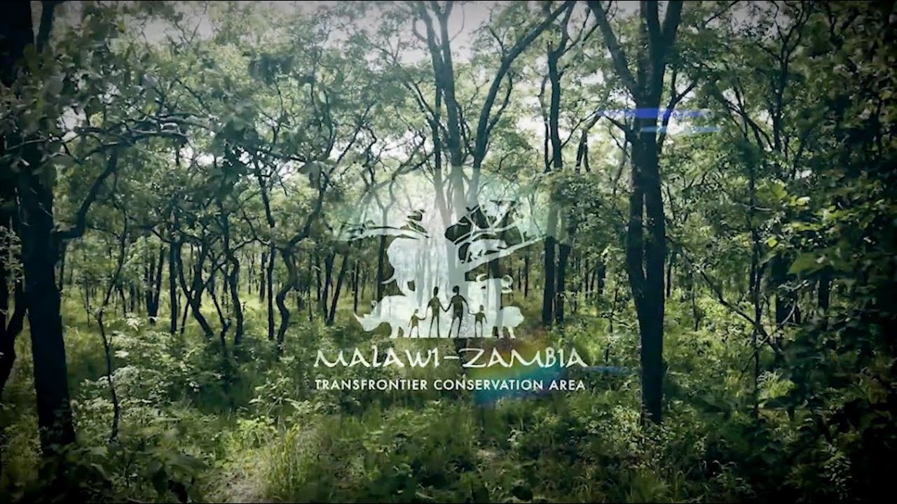 Malawi-Zambia Transfrontier Conservation Area Short