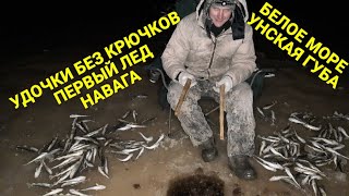 УДОЧКИ БЕЗ КРЮЧКОВ. ПО ПЕРВОМУ ЛЬДУ. НАВАГА. УНА. БЕЛОЕ МОРЕ.