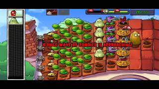 Pvz Chilli free