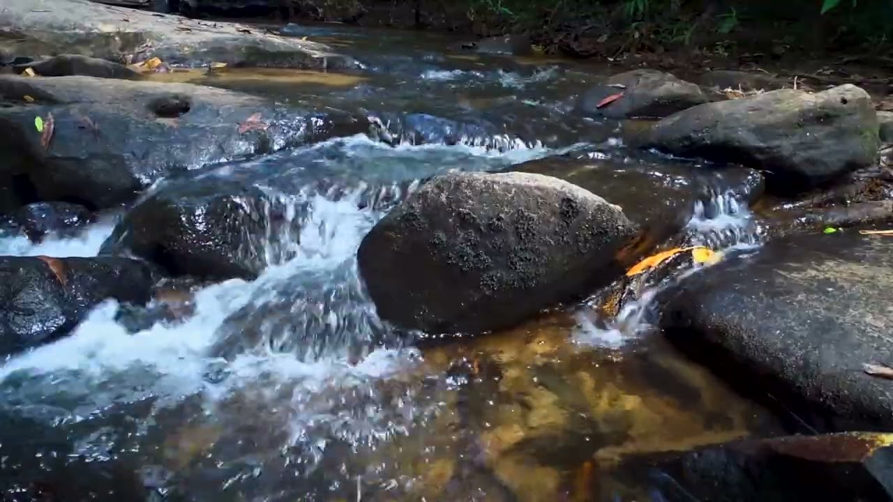 Flowing Stream & Relaxing Piano for Inner Peace
