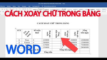 Cách xoay chữ trong bảng Word | cách xoay chữ trong bảng word 2010, 2013, 2016, 2019