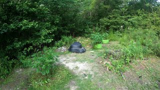 2023 Outdoor Cannabis grow site 2 June 30th update! *New Camera*