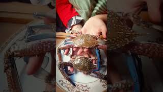 crabs ? yummy  #explore #fyp #trend #foryou #shorts #yummy #food #video #trending #Tiktok #Youtube