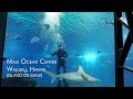 Maui Ocean Center: The Aquarium of Hawaii - Highlights