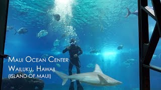 Maui Ocean Center: The Aquarium of Hawaii - Highlights