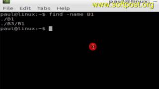 How to find only directories using find command in Unix