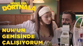 Niyazi Gül Dört Nala | Nuh'un Gemisinde Çalışıyorum