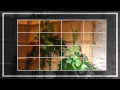 Floral Demonstration.mov