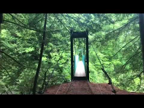 camera iphone 8 plus apk Box Turtle On The AT 2018 Day 122