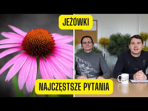 Wideo: Dlaczego wiosną i jesienią panują łagodne temperatury?