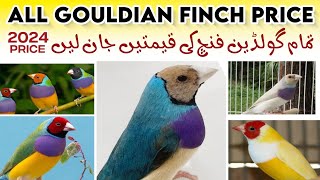 Gouldian finch price in Pakistan 2024  | Gouldian finches latest prices 2024