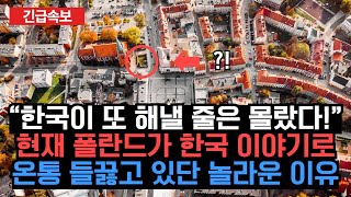 “한국이 또 해낼 줄은 몰랐다!” 현재 폴란드가 한국 이야기로 온통 들끓고 있단 놀라운 이유