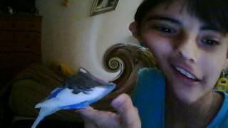 Capture 20120403 3