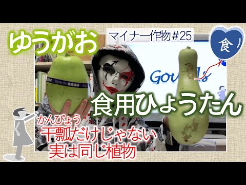 完全版 食用ひょうたんvsゆうがお 食べ比べ Comparison Between 2 Types Gourds Youtube