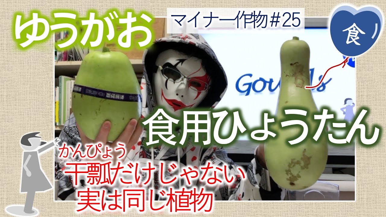 完全版 食用ひょうたんvsゆうがお 食べ比べ Comparison Between 2 Types Gourds Youtube
