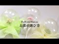 話題のフラワーバルーン作るなら100均へGO！How to make a flower balloon |꽃풍선