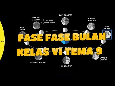 Video: Ketika bumi berada di antara matahari dan bulan fase bulan adalah?