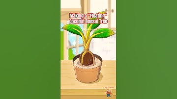 The Secret to Making a "Floating" Coconut Bonsai Tree #coconuttree  #animation