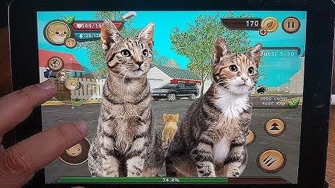 Cat Sim Online: Level Up - Play with Cat Clan Pet Simulator 2 Android Gameplay Tv Video #7