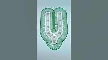 When the Circle Turns Into Art #spirographshr #satisfying #asmr #art #spirograph #usa #relaxing