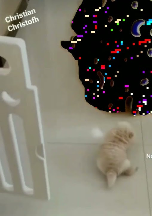 Pibby Glitch in real life