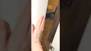 Freddy Fazbear Attacked In Bedroom