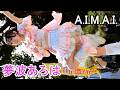 シンセカイヒーロー　夢波あろは(Fancam)　A.I.M.A.I.　冬の食三昧市2026