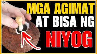 BAKA MAKAKITA KA NITO SA NIYOG ,AGIMAT AT MGA BISA NG PUNO NG NIYOG ALAMIN | BHES TV