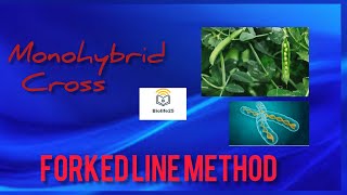Monohybrid cross|| forked line method|| An alternative method of punnet square||CSIR NET, ICMR, DBT