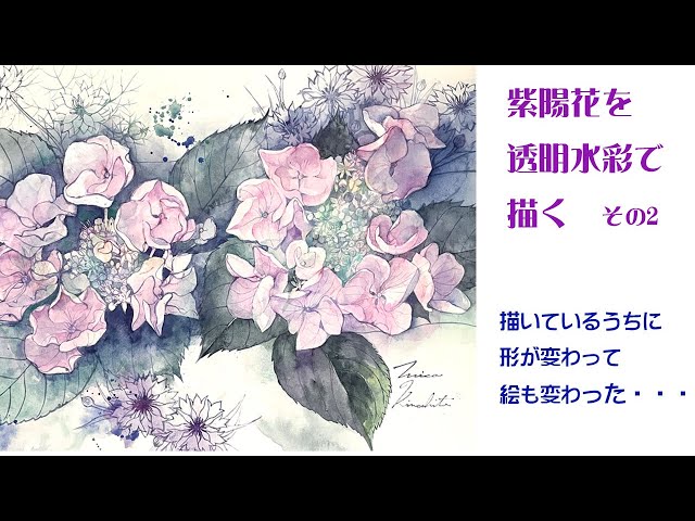 透明水彩で紫陽花を描く～描いているうちに形が変わって絵も変わった
