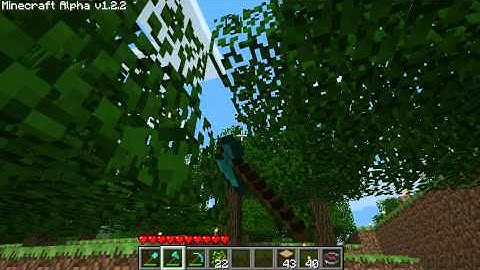 Minecraft Leaf Dropper plugin