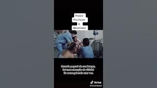 proses pria melahirkan