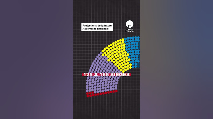 Législatives 2024 : À quoi pourrait ressembler l'Assemblée nationale après le 1er tour ?