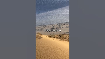 واتس اب قران كريم القارئ ياسر الدوسري من سورة (الروم)