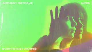Anthony Keyrouz - Everything I Wanted (Feat. Lunis) Resimi