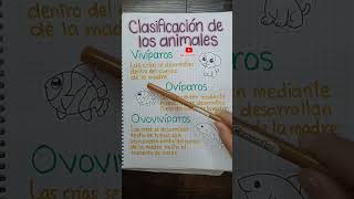 Animal Classification #educational #shortvideo #learning #science #animals #shorts