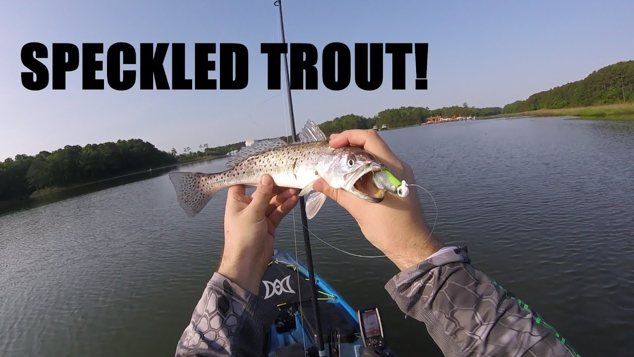Kayak Fishing for Speckled Trout Rudee Inlet Speckled Trout YouTube