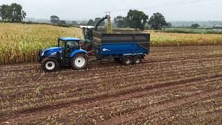 Maize 2026 is over but the clamp is still empty! screenshot 2