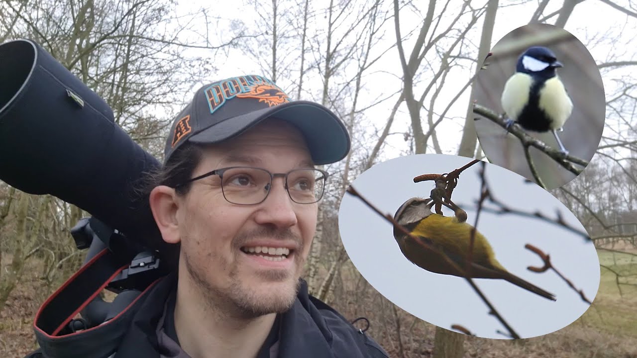 Wittmoor Nature Reserve YouTube