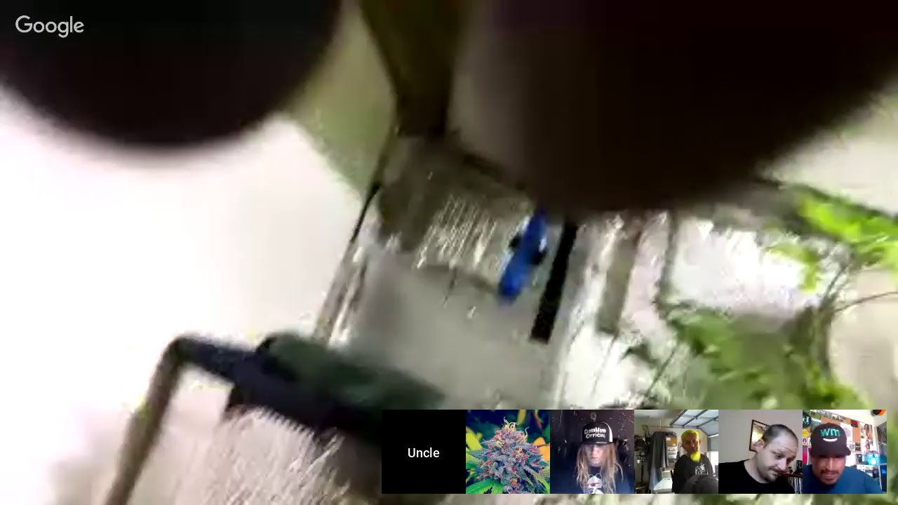 Sesh Time With MzDabology and The Dabteers