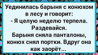картинка: Как Барыня с Конюхом в Лесу Уединилась! Большой Сборник Свежих Смешных Анекдотов!