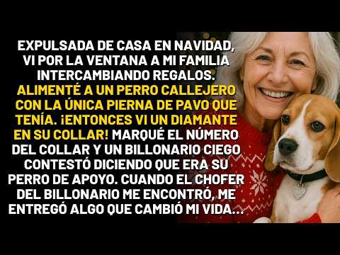 Me echaron de la cena de Navidad  Compartí una pierna de pavo con un perro callejero