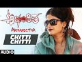 Chitti Chitti || Akhanditha || Shashi, Sattenna, Meghasri