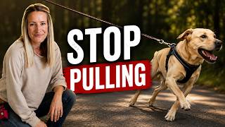 How to Stop Your Dog From Pulling on the Leash