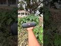 JBL SOUND waterproof testing flip 2