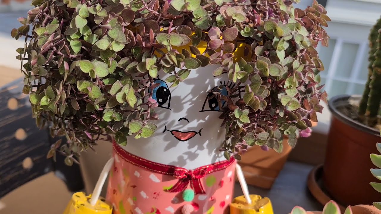 Bu Sevdaya Engel Yok 💖 Çiçekli Balkon, Melahat Sarsu Çiçek Dostum