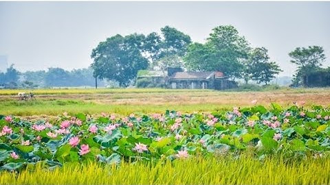 gửi lời đến Asin