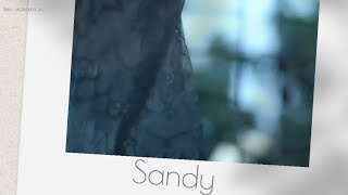Sandy | Part. Wanessa Camargo - Leve (Letra) ᵃᑭ
